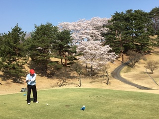 2018-03-31 08.53.58.jpg