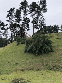 2018-10-05 09.21.15.jpg