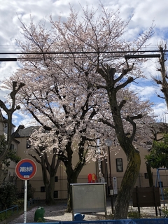 2019-04-01 09.03.15.jpg