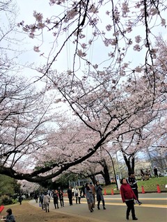 2019-04-02 13.53.36.jpg