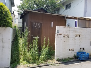 20190803_113001.jpg