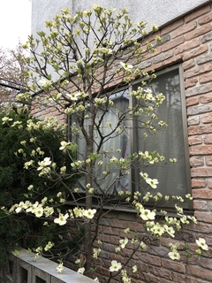 写真 2019-04-14 15 27 51.jpg