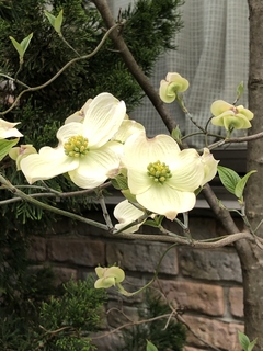 写真 2019-04-14 15 28 00.jpg
