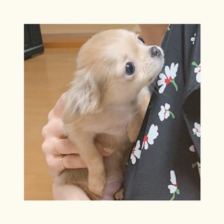 写真 2019-07-23 18 19 58.jpg