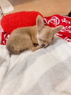 写真 2019-07-23 18 20 19.jpg