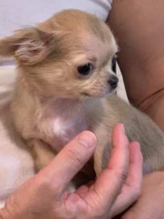 写真 2019-07-23 18 20 46.jpg