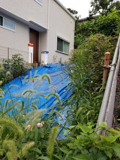 写真 2019-07-25 10 49 54.jpg