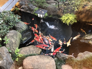 写真 2019-07-26 18 30 06.jpg